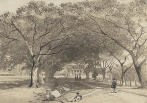 Allee und Eingang zu den St. James Barracks von Michel Jean Cazabon