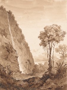 Maraccas Wasserfall