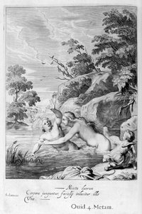 Die Nymphe Salmacis und Hermaphroditus