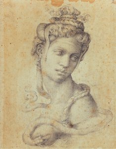 Kleopatra von Michelangelo Buonarroti