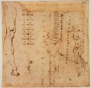 Figurenstudien von Michelangelo Buonarroti