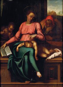 Madonna del Silenzio