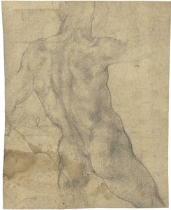 Männlicher Akt von Michelangelo Buonarroti