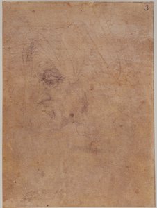 Profil einer alten Frau von Michelangelo Buonarroti