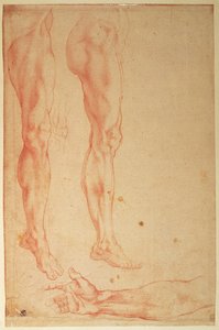 Studien von Beinen und Armen