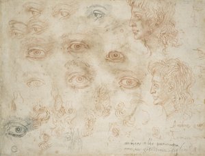 Studien von zwei Köpfen, ca. 1525 von Michelangelo Buonarroti