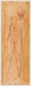 Studie für eine männliche Figur von Michelangelo Buonarroti