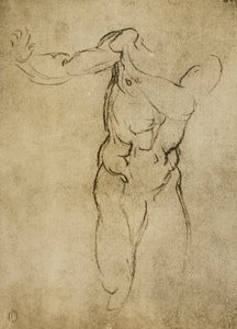 Studie für eine männliche Büste, Zeichnung von Michelangelo. Casa Buonarroti, Florenz von Michelangelo Buonarroti