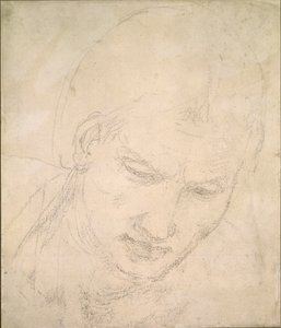 Studie eines Kopfes, ca. 1490-1560