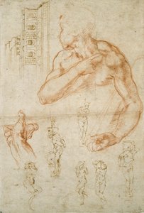 Verschiedene Studien für die Sixtinische Decke und das Grab von Papst Julius II., ca. 1490-1560