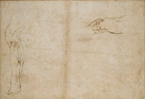 Verso: Studien eines Männerbeins, ca. 1490-1560