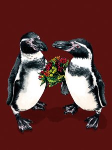 Jubiläumspinguine auf Rotoxid, 2020