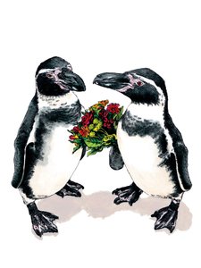 Jubiläumspinguine auf Weiß, 2020