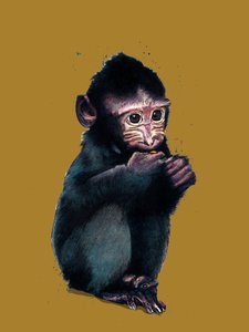 Das Baby-Makak auf Goldgelb, 2020 von Mike Davis