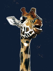 Die Giraffe auf Mitternachtsblau