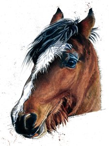 Das Pferd auf Weiß, 2020 von Mike Davis