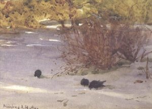 Schatten auf dem Schnee