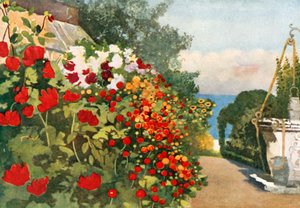 Die Dahlienrabatte, Villa Hvidore von Mima Nixon