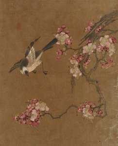 Zehn Bilder von Vögeln und Blumen