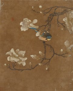 Zehn Bilder von Vögeln und Blumen