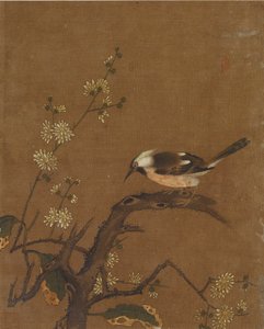 Zehn Bilder von Vögeln und Blumen