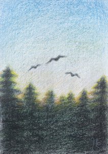 Gelassener Waldflug