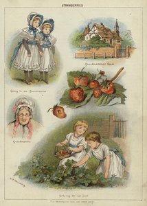 Erdbeeren von Miss Eliza F. Manning
