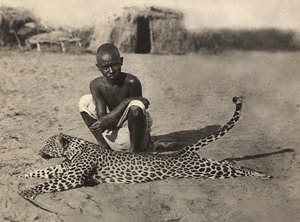 „Ein Imperium aufbauen“ im faschistischen Zeitalter: Eingeborener zeigt einen Leoparden, 09.05.1936