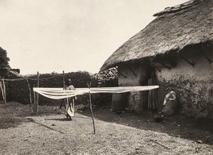 Vorbereitungen zum Weben, 09/05/1936 von Modestino Baldinetti