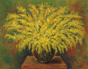Mimosen
