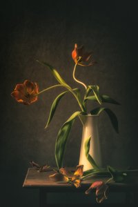 Stimmungsvolles Tulpen-Stillleben von Monique van Velzen