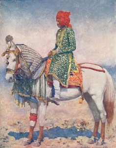 Ein vorführendes Pferd aus dem Staat Alwar