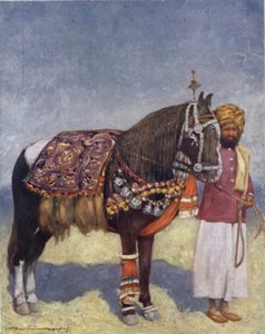 Ein Pferd aus Jodhpur