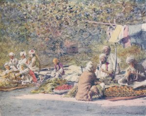 Ein Gemüsemarkt, Peshawur, 1905