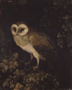 Eine Eule, 1780-1790
