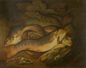 Fische