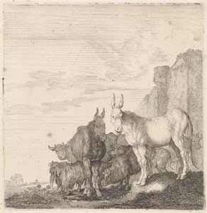 Esel an einer Mauer von Moyses van Wtenbrouck
