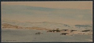 Eintritt in Bergen