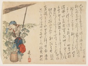 Teepflücker, ca. 1830-44 von Murata Kagen
