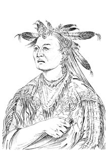 Die blutige Hand, einer der Häuptlinge des Riccaree-Stammes von Myers and Co