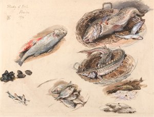 Studie von Fischen, Venedig