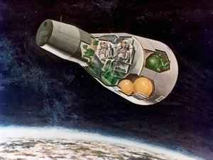 Ein NASA-Lunarmodul, ca. 1970er Jahre