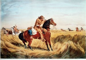 Ein Scheck - Halten Sie Abstand von N. and Ives J.M. (1824-95) Currier