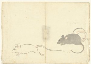 Drei Ratten