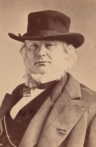 Porträt von Horace Greeley 1811-1872, 1869 von Napoleon Sarony