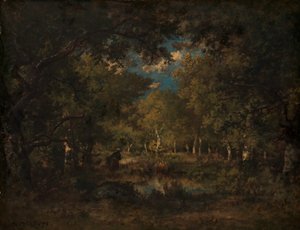 Der Wald von Fontainebleau
