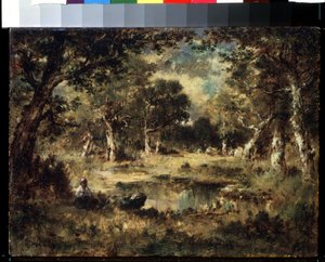 Waldlandschaft
