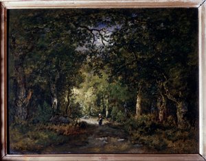 Die Straße im Wald