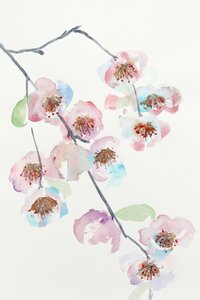 Zarte rosa Blüten