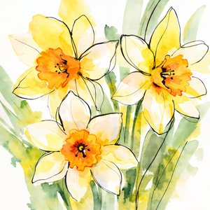 Gelbe Narzissen in Blüte
